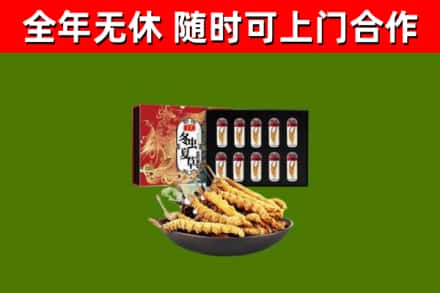 颍泉区烟酒回收冬虫夏草礼盒.jpg