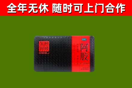 颍泉区烟酒回收阿胶.jpg